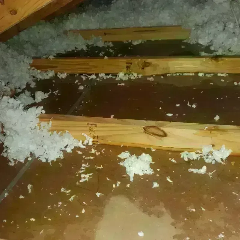 Attic Water Damage in Towner, ND