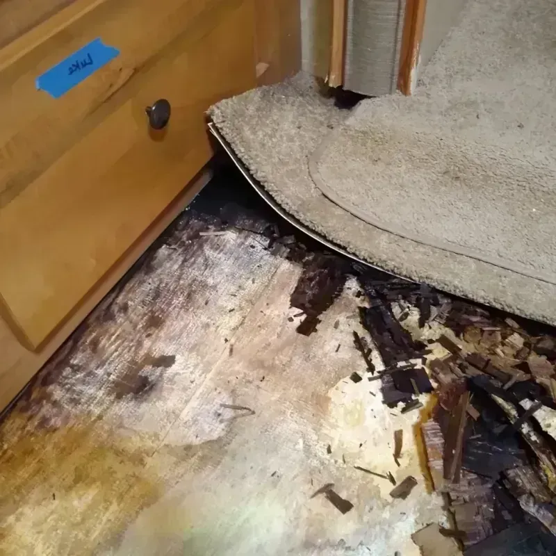 Wood Floor Water Damage in Towner, ND